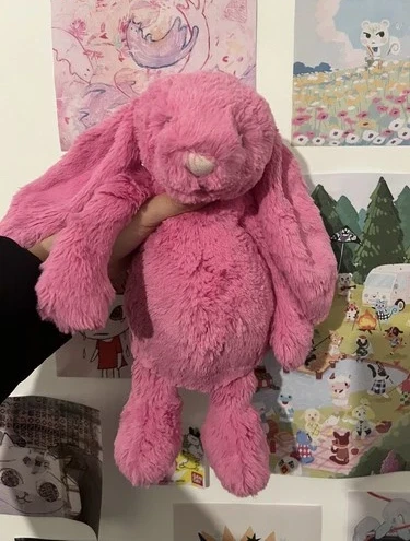 Jellycat Hot Pink Bashful Bunny Retired Plush Medium Stuffed Animal HTF Rare